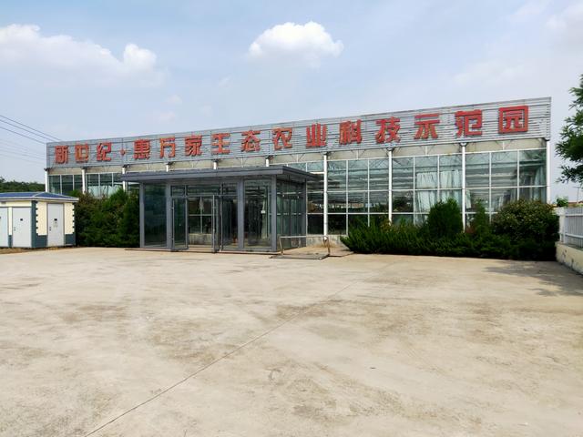 温室种植小知识之网槽式基质栽培