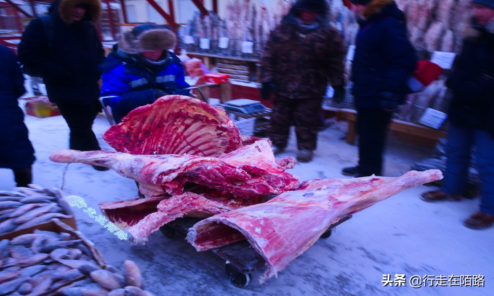 西伯利亚冬天怎么过？土著：少说话少喝酒少出门，多吃生肉