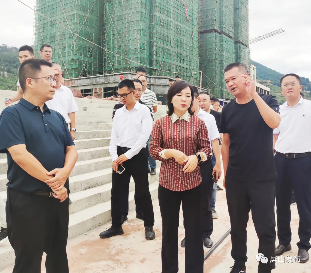 赵丹到中都镇调研督导近期重点工作