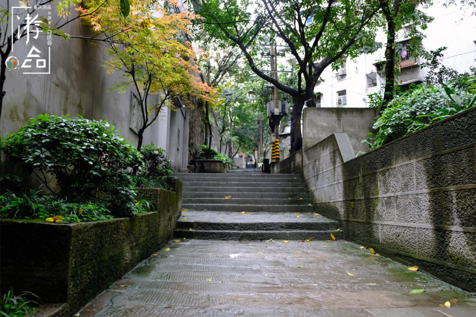 重庆成为网红城市，与地形紧密相关，但对于“魔幻”，都理解错了