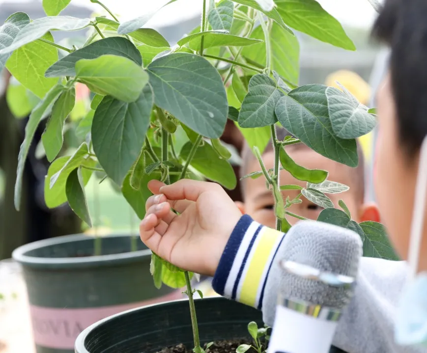 “我们”有一块地这就播种去丨天府新区元音小学劳动实践基地启动