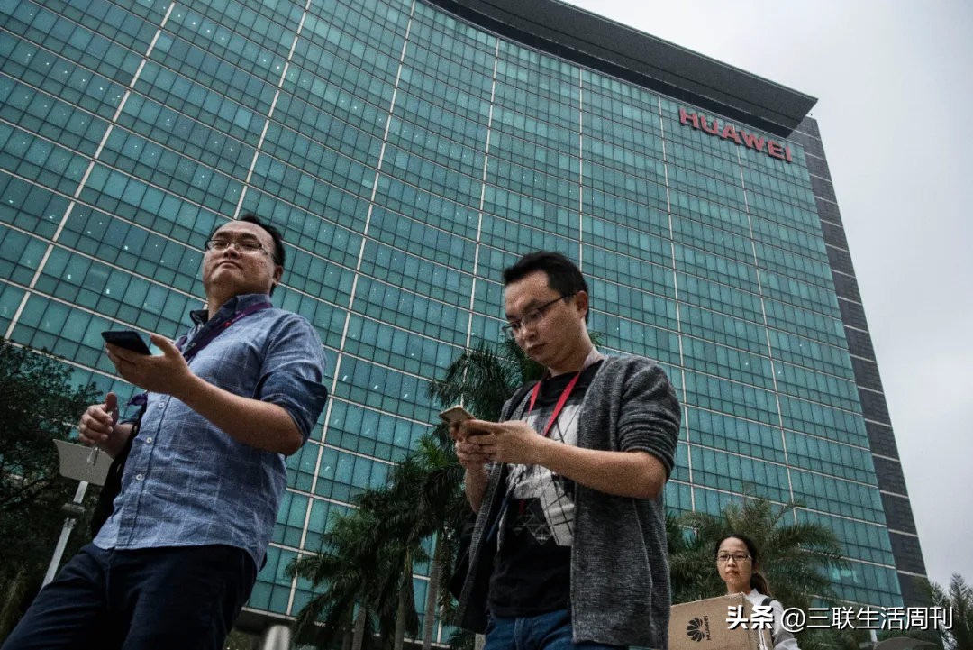 35岁程序员，早到的中年危机