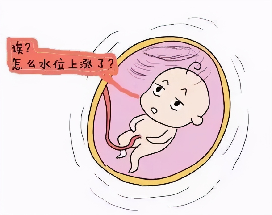 孕育胎儿的营养液——羊水-优生优育-教育
