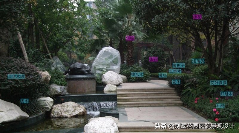 別墅庭院常用植物分享，附照片及名字標(biāo)注（珍藏版）