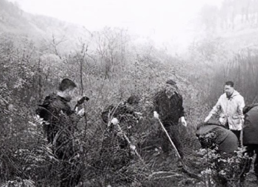 因父母偏心，女子杀害弟弟妹妹掩埋野外，2011年佛山杀亲案始末