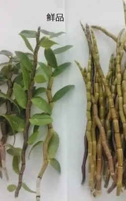 中华仙草——铁皮石斛，有哪些吃法？