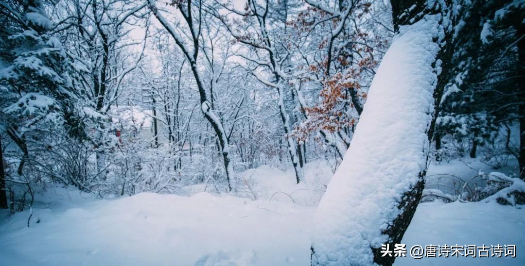 咏雪最好的8首诗词，藏着千古名句，哪一首才是你心中的第一？-第5张图片-诗句网