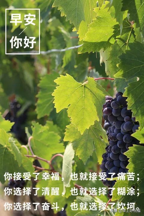 新的一天从早安心语开始 2021早上好图片图片