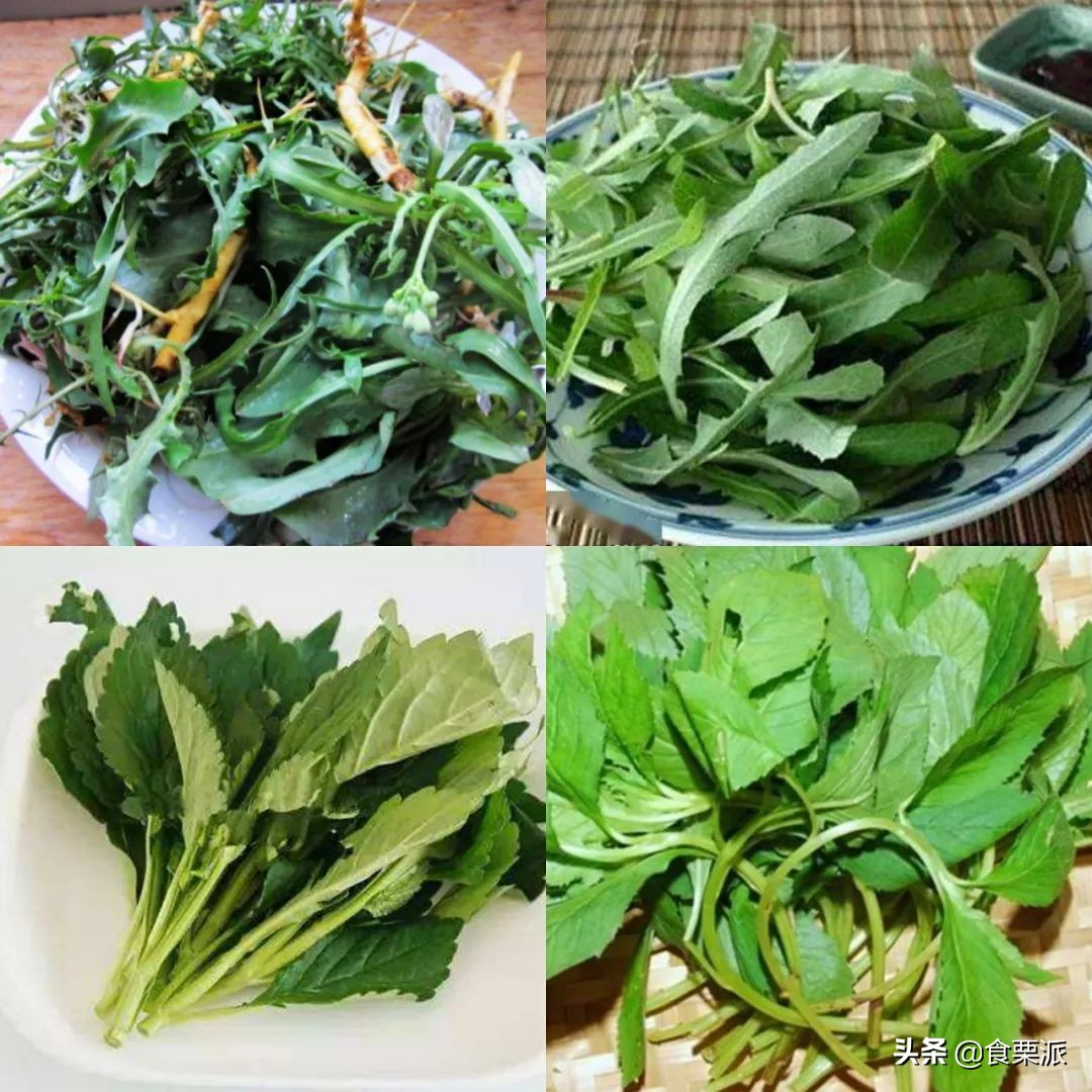 ߲Ӫа񣬿㰮Եϰû
