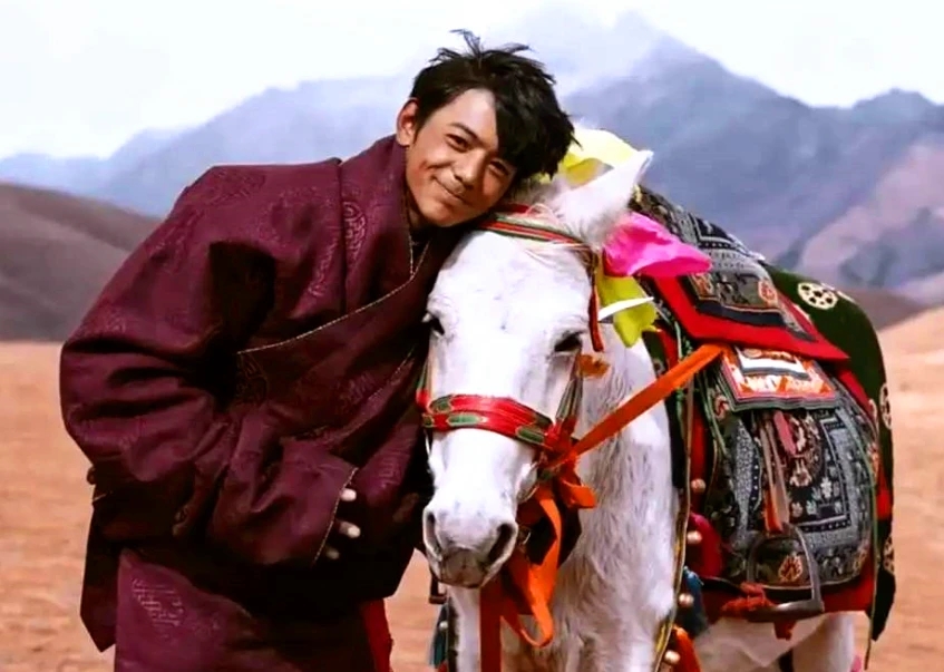 There is Ding Zhen before, there is Liu Hong after, this bowl of meal belongs to Yan Zhi each pleasant Zi people