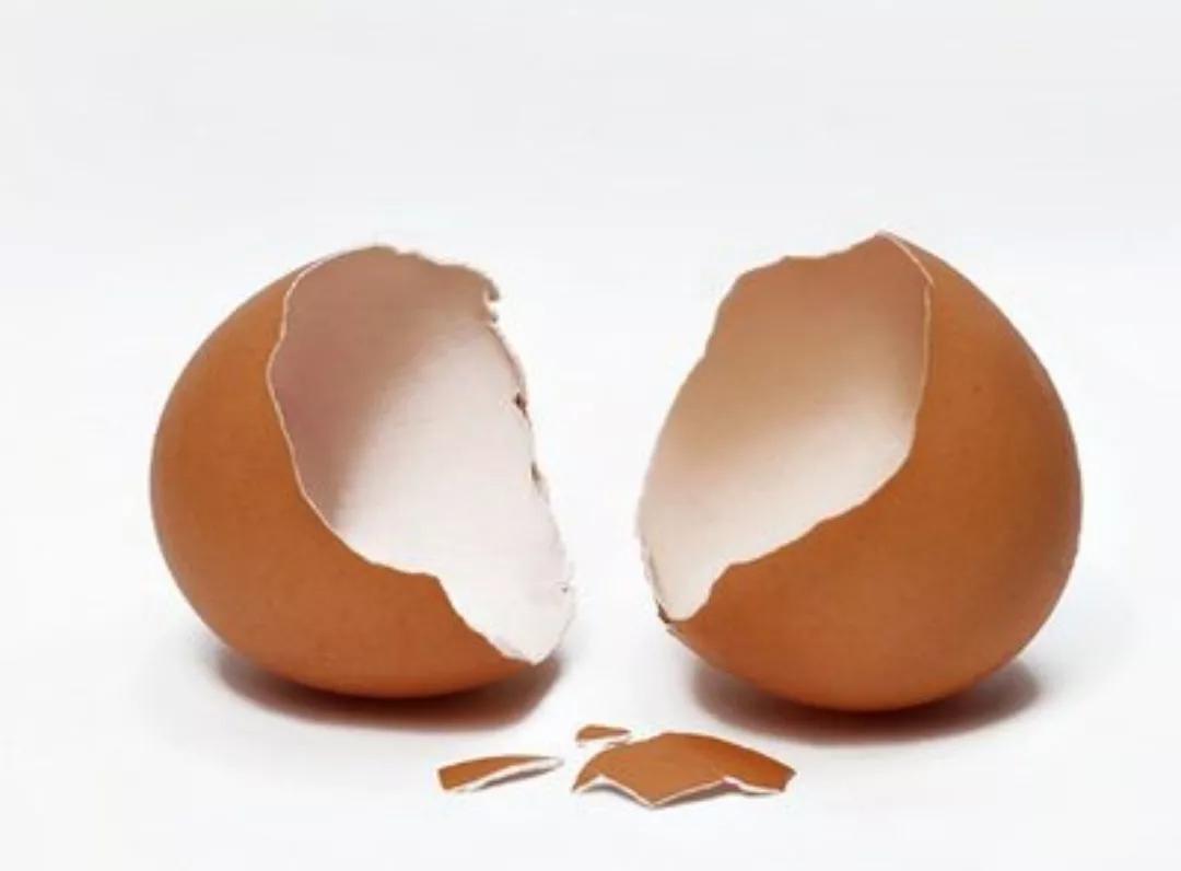 雞蛋僅僅營養豐富？ 醫生提醒:雞蛋在健康中的妙用，一文帶您了解