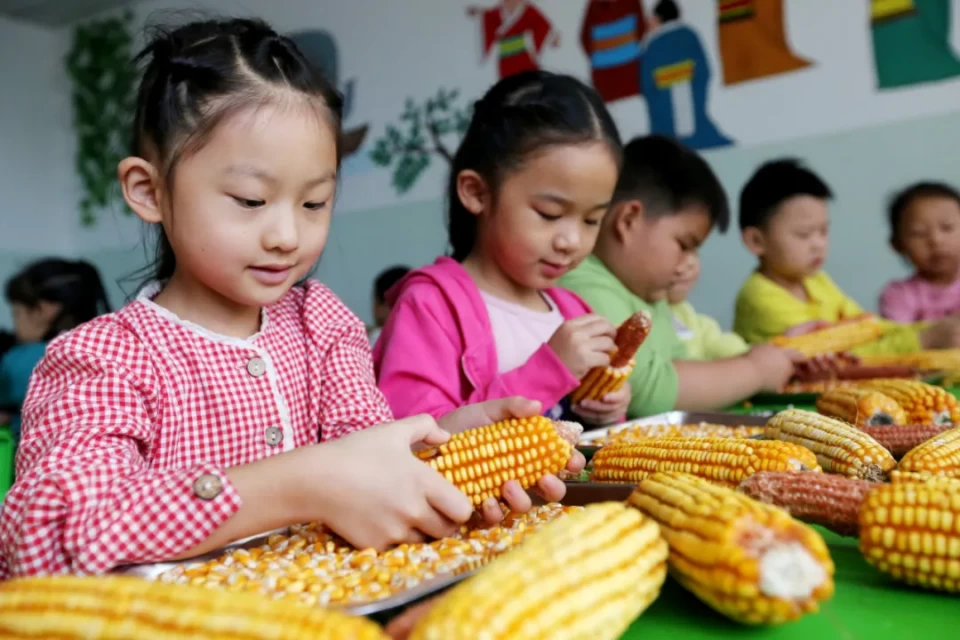 世界粮食日：珍惜“盘中米粒”体验“天地粮仓”