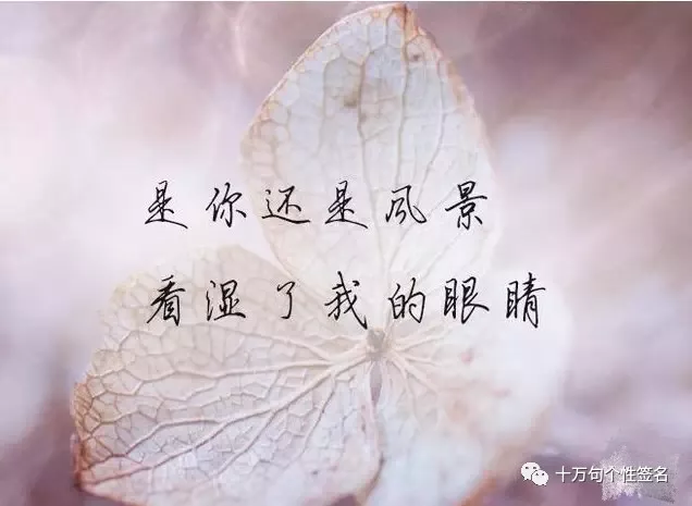 2020抖音最悲伤的个性签名句子