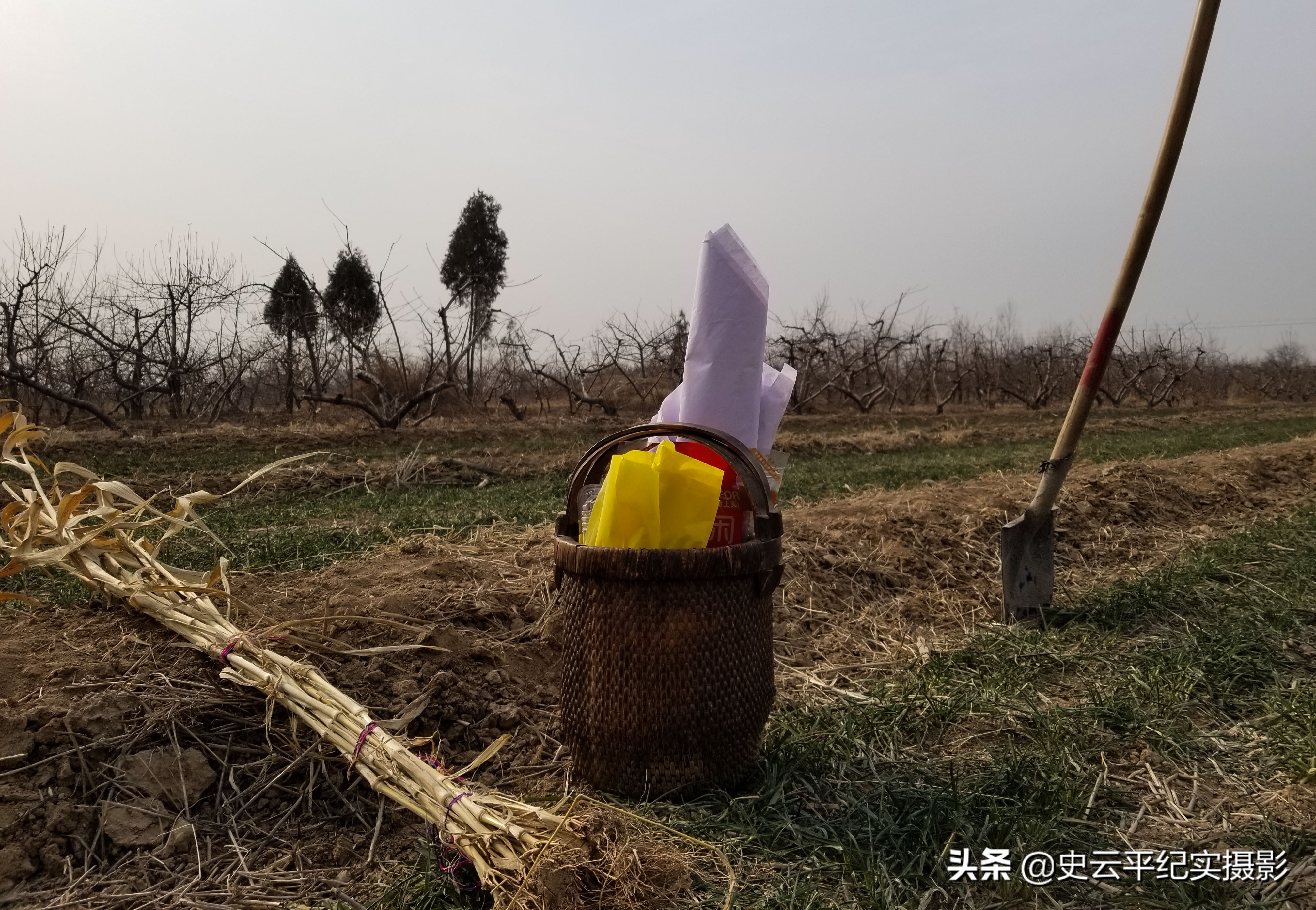 农村老人去世先生用高科技在地里规划坟院，这种风俗看你见过吗