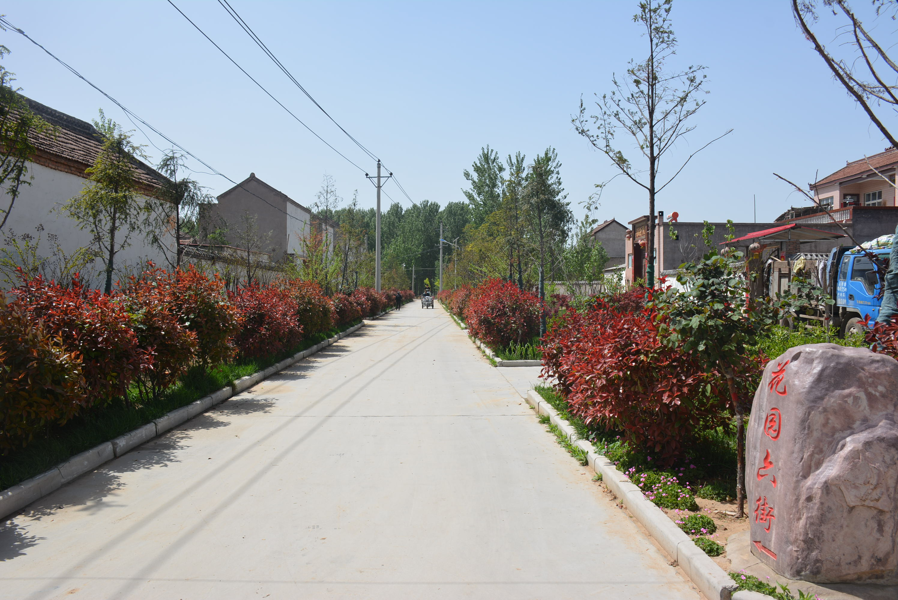 逐村观摩激活力整乡推进强发展祥符区区委书记区长王彦涛一行来西姜寨