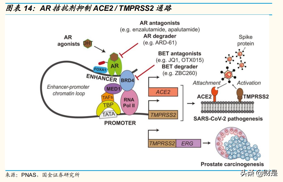 医药行业专题报告：看好新冠治疗药物前景及其CDMO投资机遇