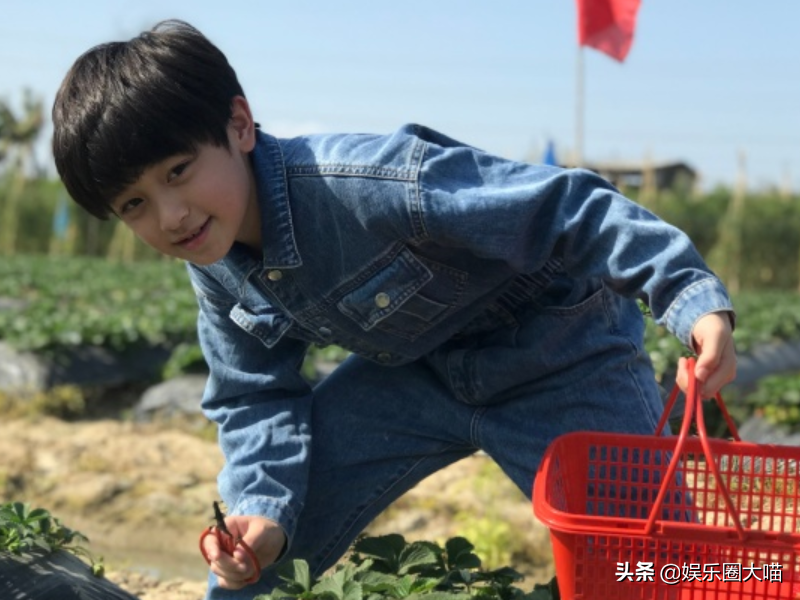爸爸去哪儿四年后，阿拉蕾小山竹颜值被妹妹超越，李亦航却成男神