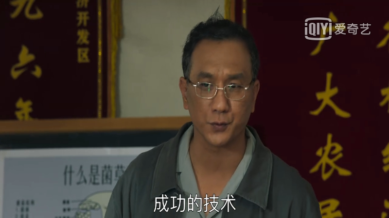 专家|山海情：菌草专家凌一农教授让人感动 角色原型真了不起