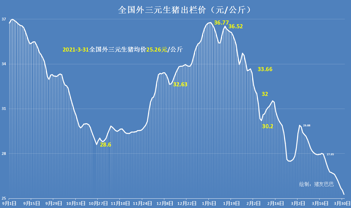 猪价大跌4.6元，行情跌得一塌糊涂，肥猪当道4月猪价还要跌？