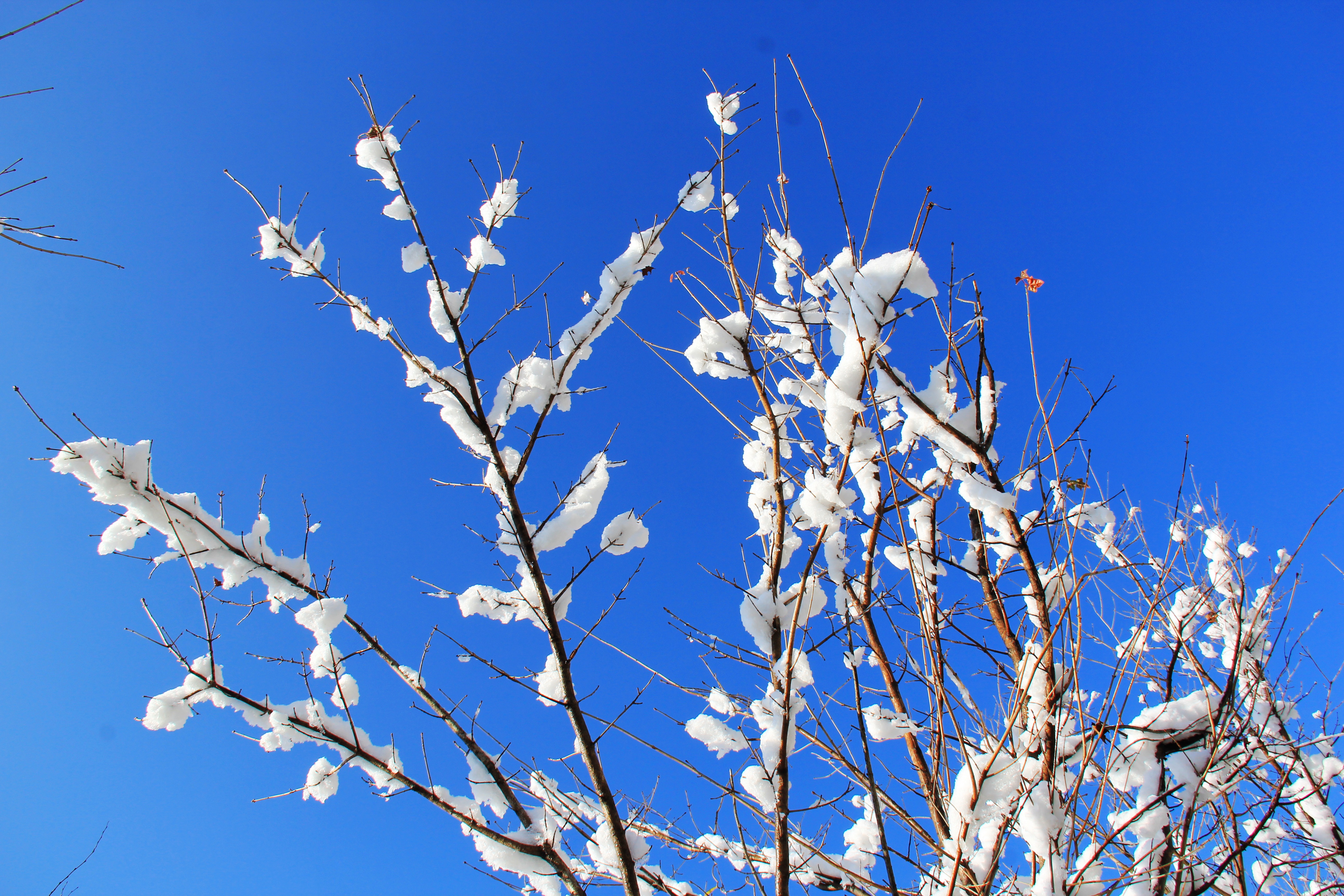 Snowed Bai Yunshan, had you seen? 