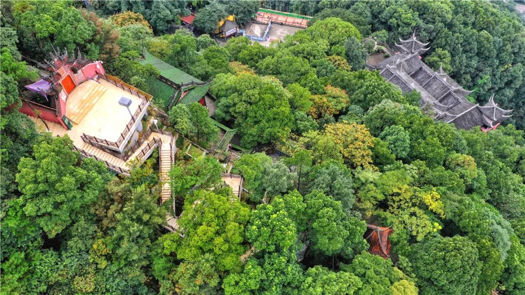 重庆南岸区终于觉醒了！在南山打造出天玑台，一眼可看到7座大桥