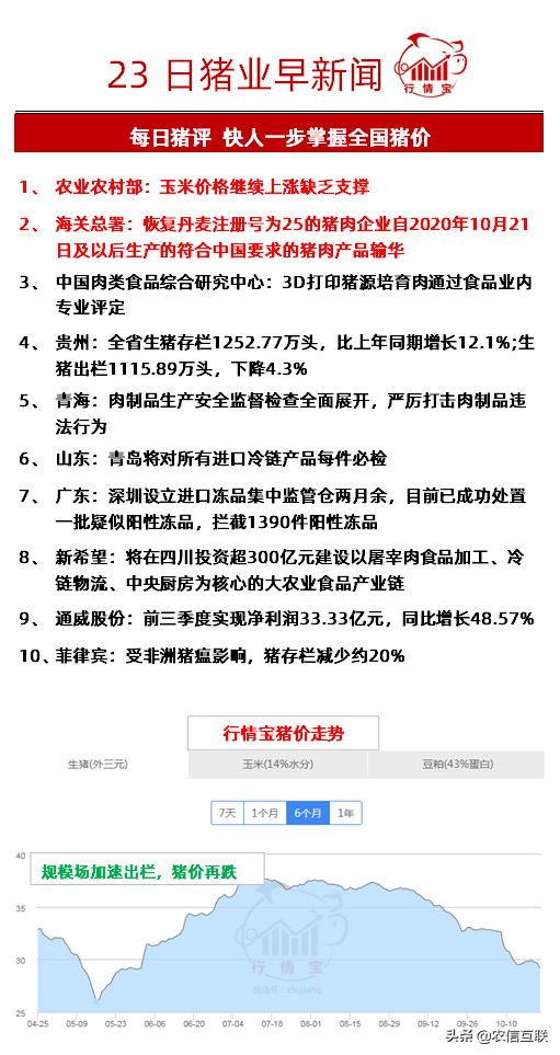 玉米价格还会继续上涨吗？权威回应来了