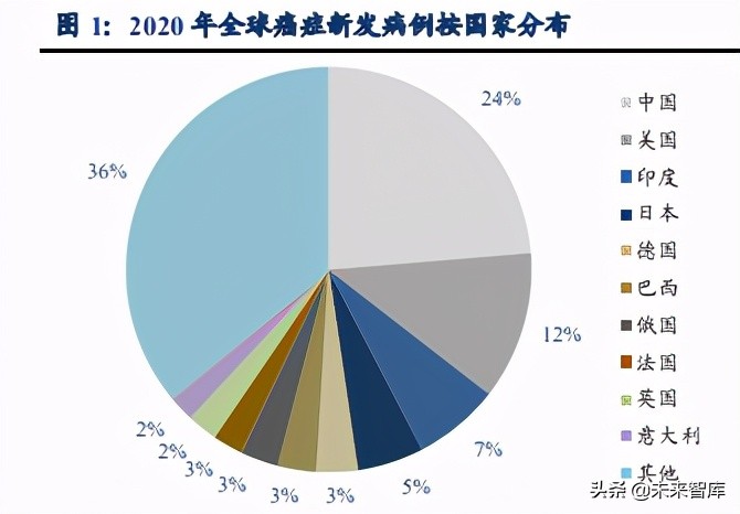 2020 年世界癌症報告(world cancer report),2020 年全球新發癌症