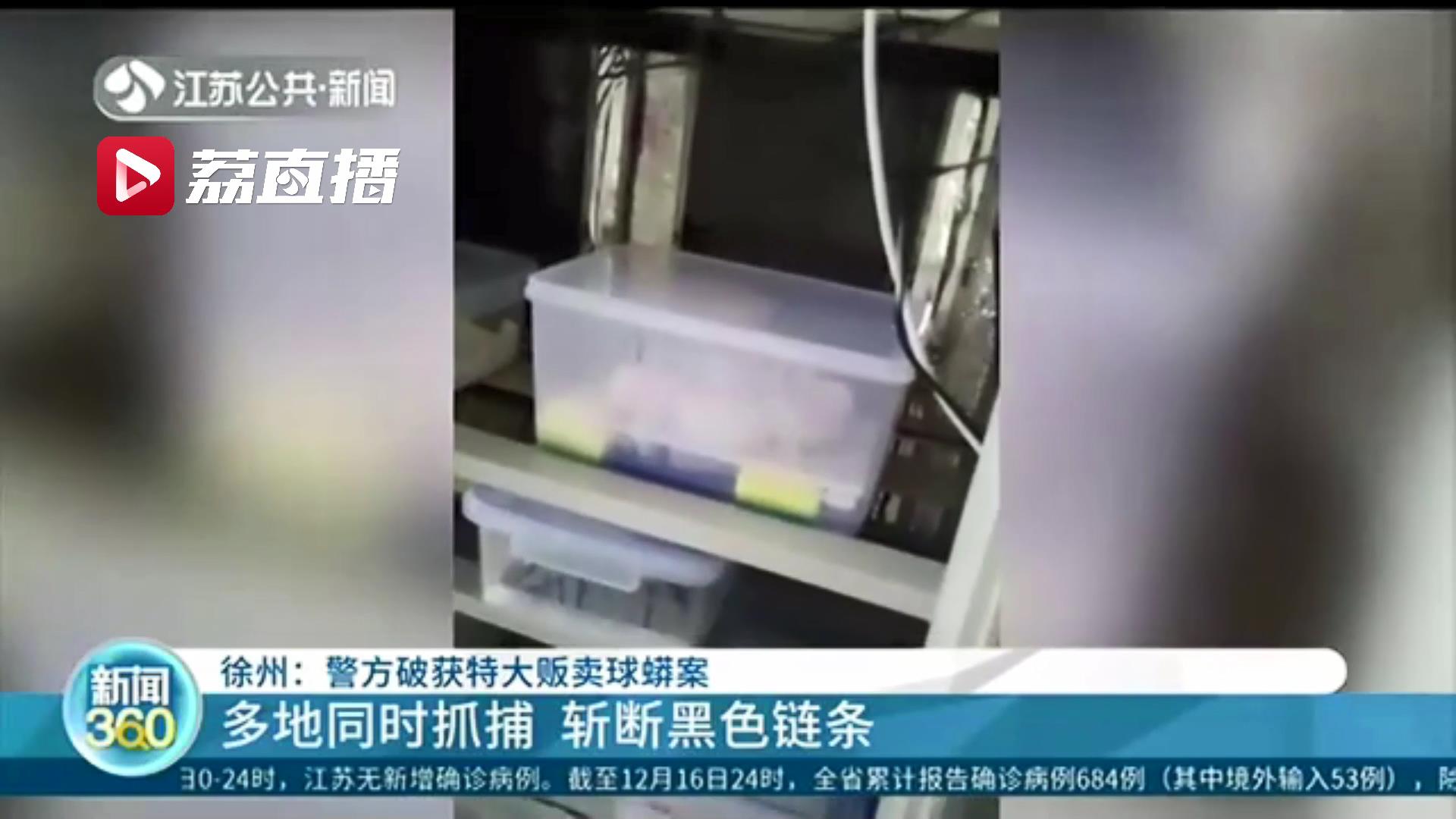 网上有人求购小白鼠，可疑！徐州警方据此破获特大贩卖球蟒案