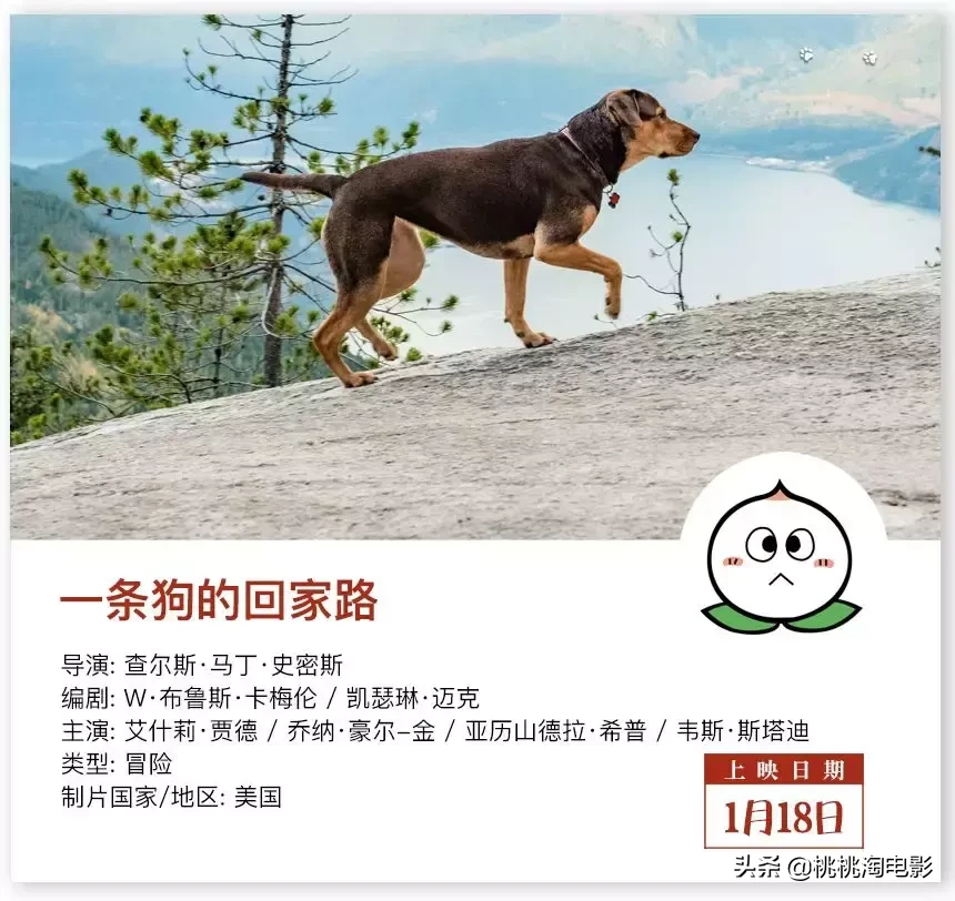 本周新片,是熊孩子的地狱啊!