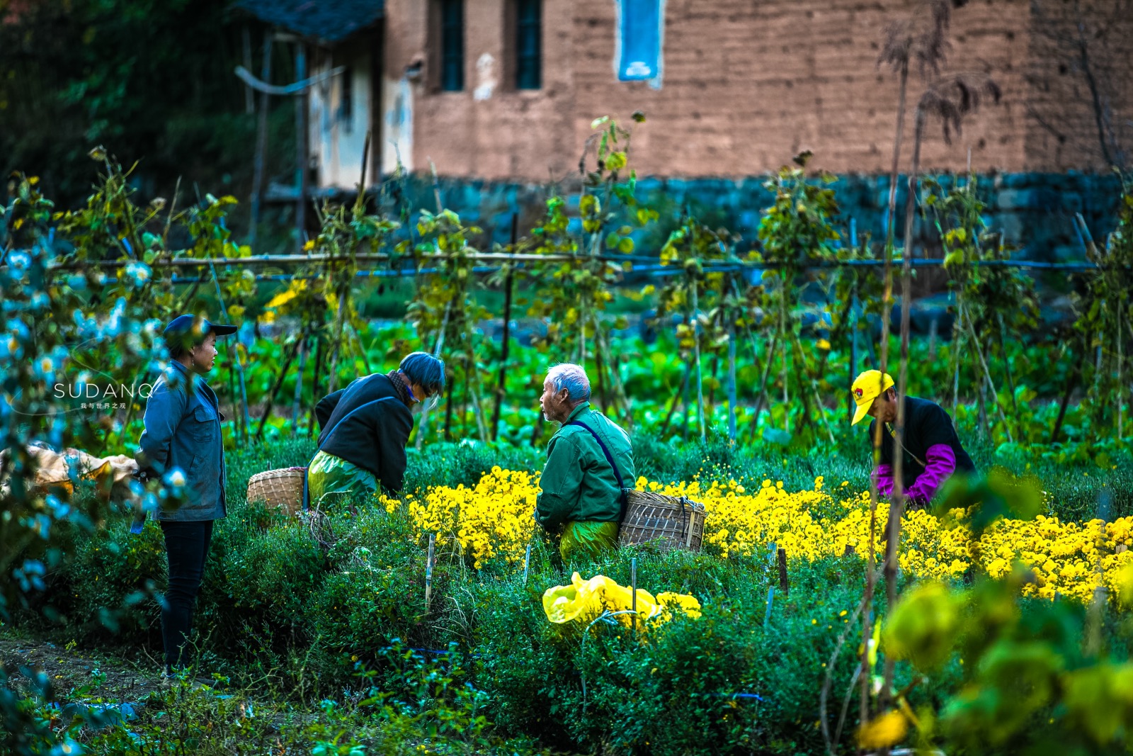 I've been obsessed with my life, I want to go to Huizhou: Recommend an ancient village that you have never heard of