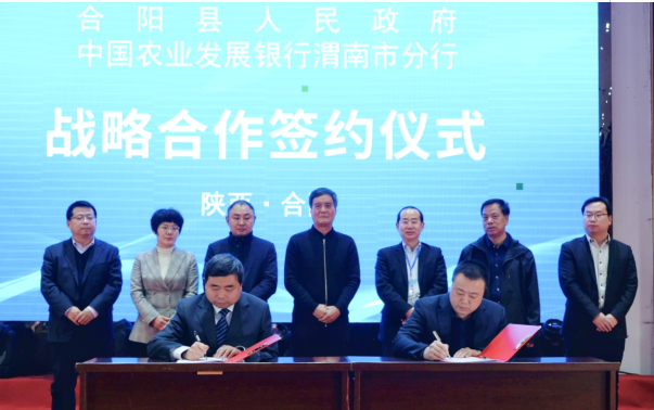 “十字型”黃河文化旅游經濟帶暨第二次黃河文化研討會在合陽召開（組圖）