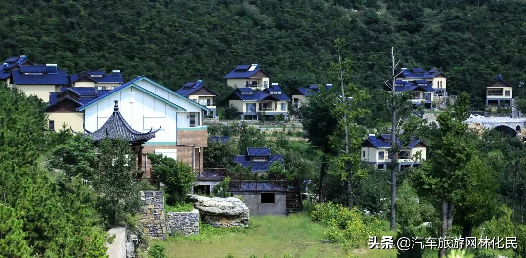 沂蒙马泉休闲园万亩樱桃花开,门票免费送啦
