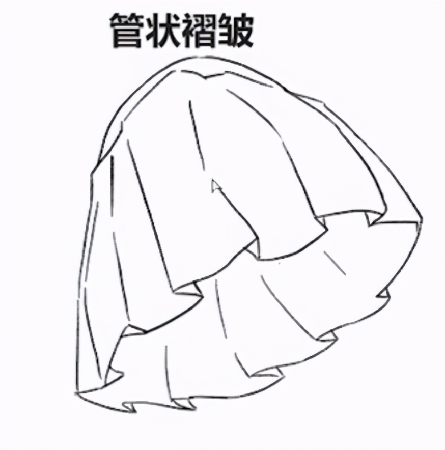 褶皱像很多并排的圆柱体,无论是哪个角度的裙子因为裙子中间腰部会有