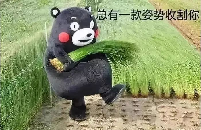 现在还能买的几个基金代码