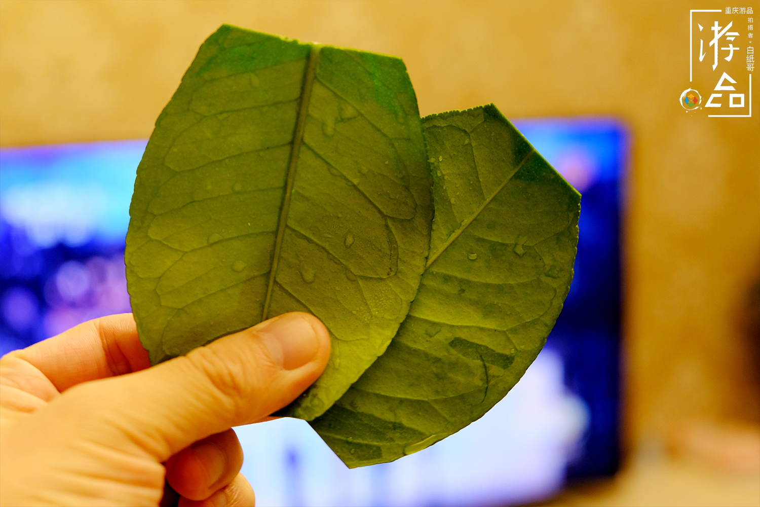 毛骨悚然的重庆话：“杀起一双拖孩儿”，正确写法是什么？