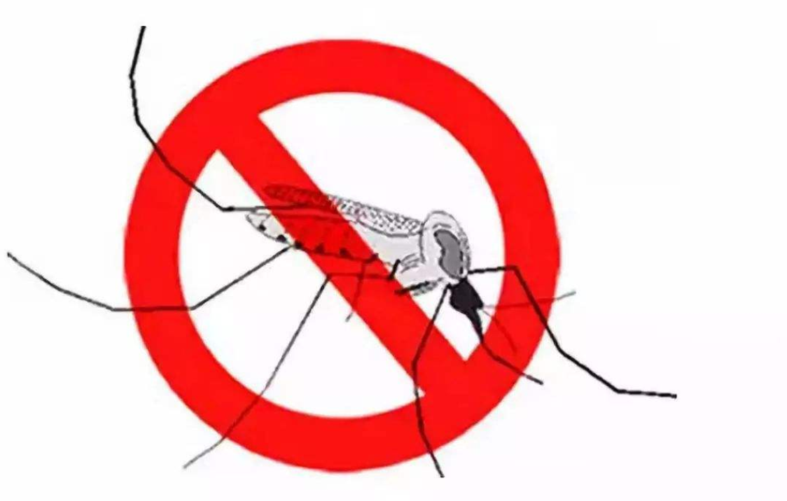 美国将放7.5亿基因蚊子，科学家：巴西曾造出超级蚊子，更难杀
