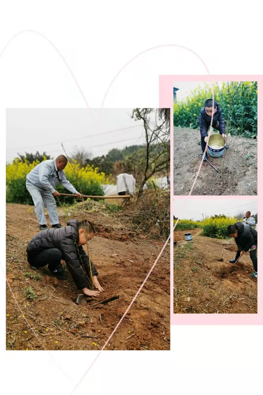 创绿色环保 享美好家园丨天府新区新兴小学植树节环保教育活动