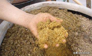 农乐生物 生物菌剂价格贵?教你通过扩繁降低成本