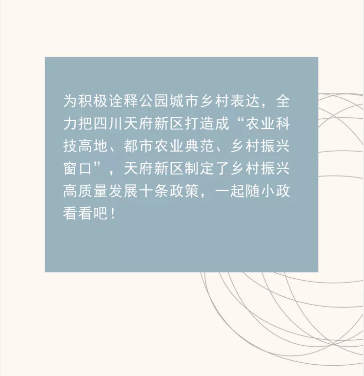 乡村振兴高质量发展十条政策