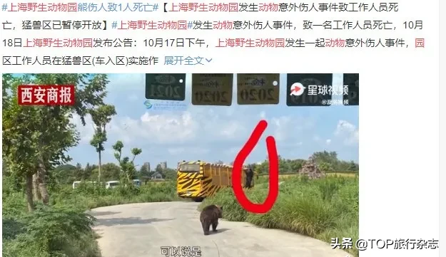 “猛熊伤人致死”上热搜，这已经不是第一次动物园出事…熊猫、老虎、狮子均有“案底”…网友：本性难改
