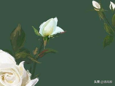 很暖心很有爱的句子,句句浪漫甜蜜图片