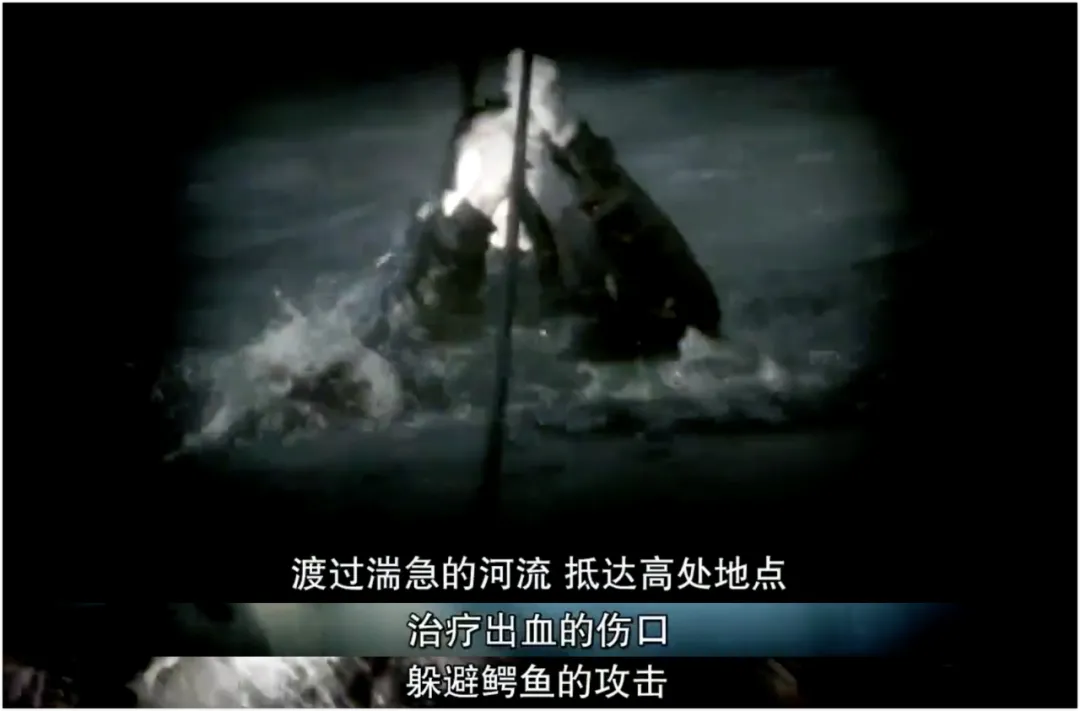 豆瓣9.3,教科书级别的保命片,一定要看
