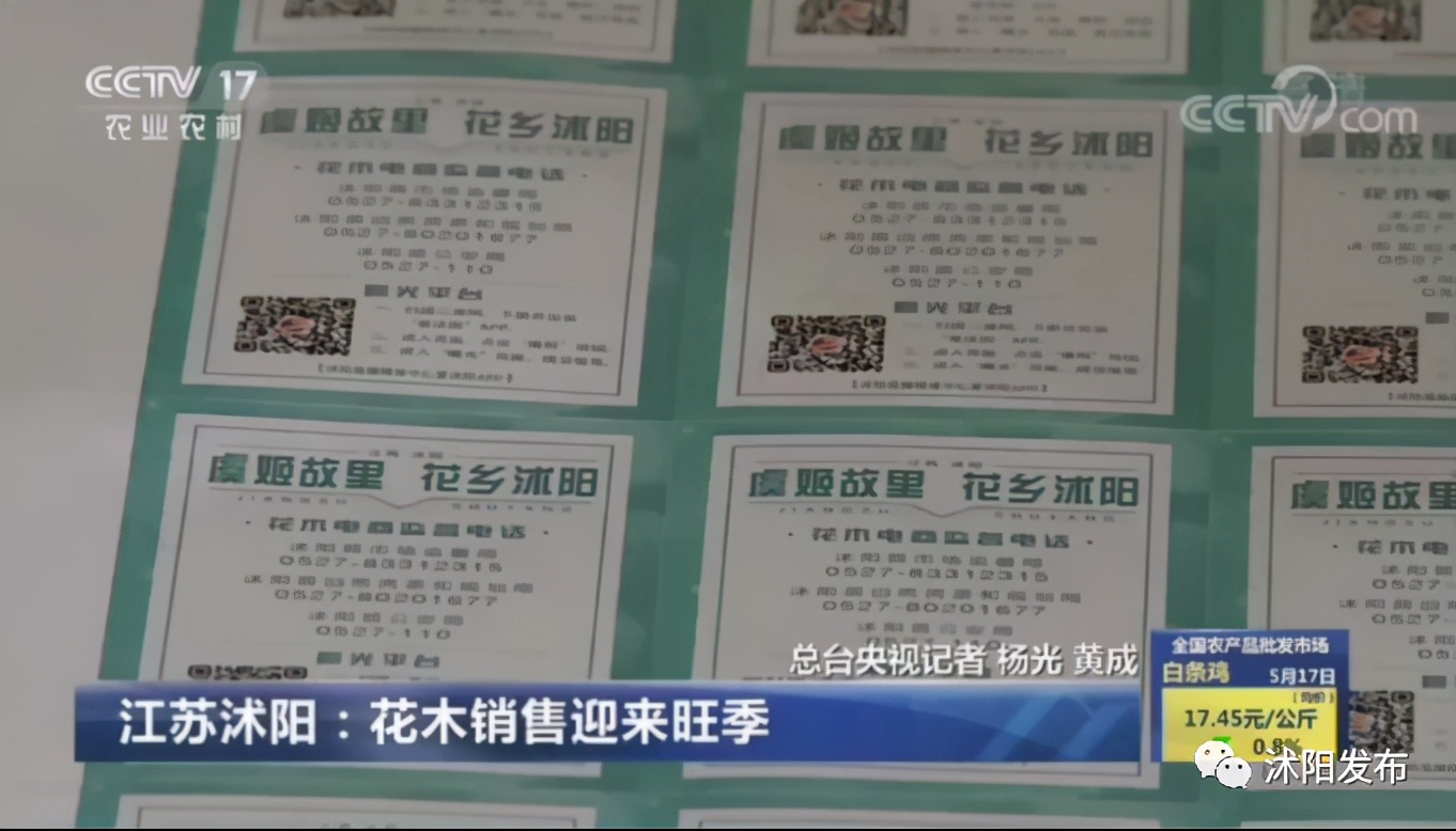 重磅！央视一天两次为沭阳点赞，诚信标签助力沭阳花木转型进级