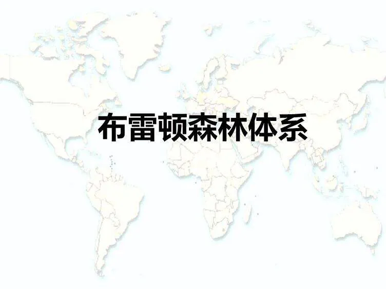 布雷顿森林体系的启示