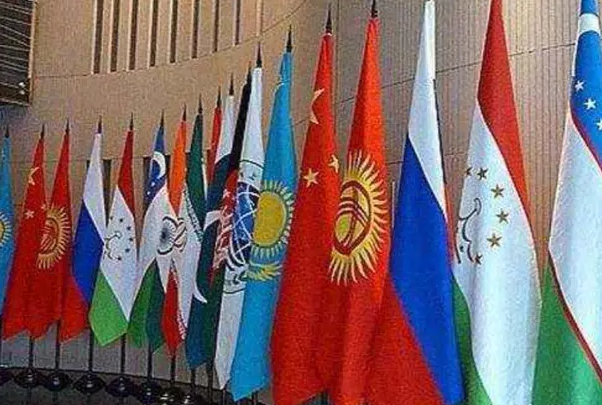 美国终于看清局势！向中国提交入会申请，却遭