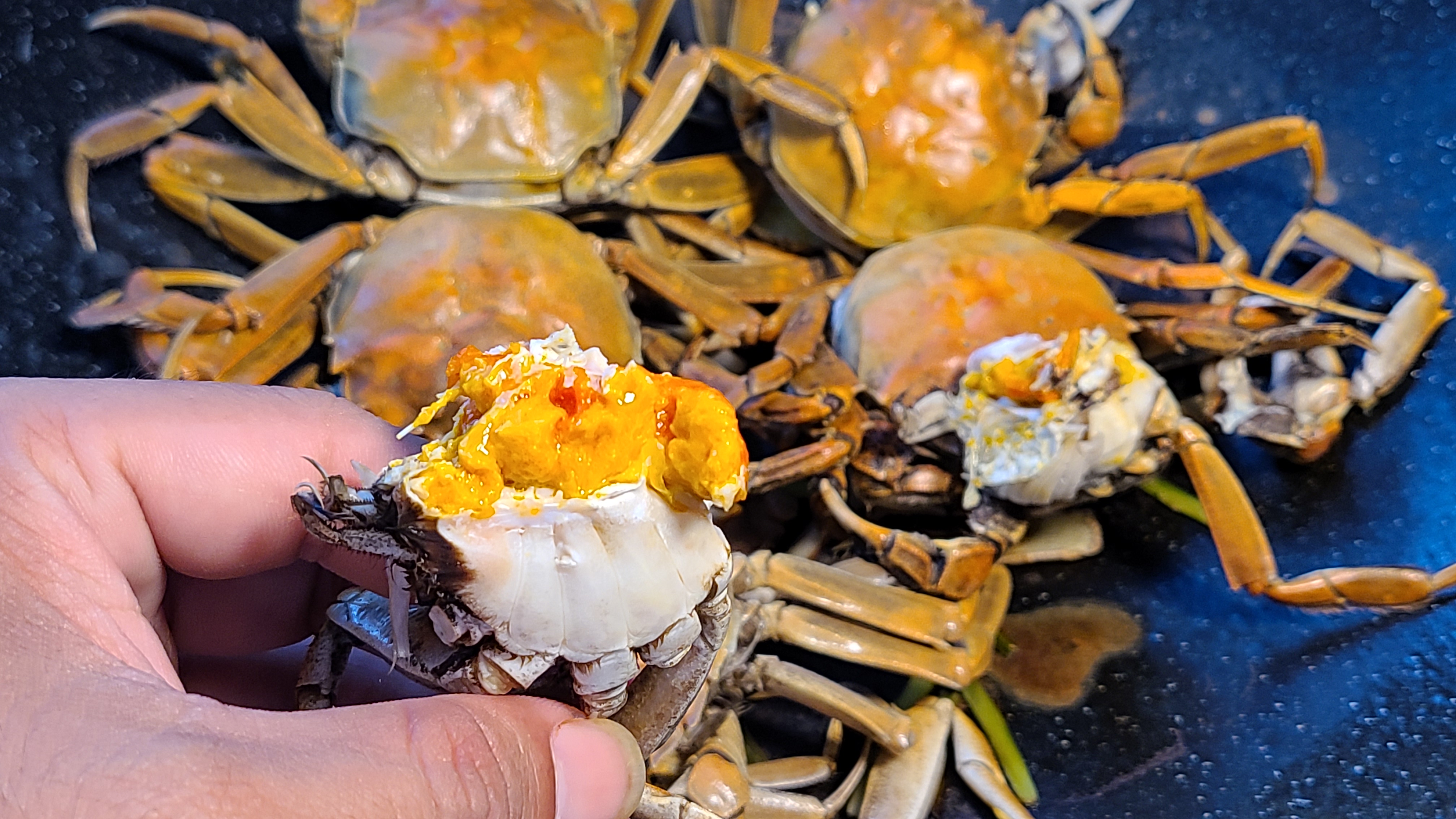 廣東焗螃蟹的做法，簡單好吃香味濃，滿滿的蟹黃看著就饞