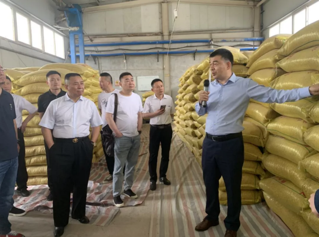 探访好食材！郑州市餐协走进“豆状元”