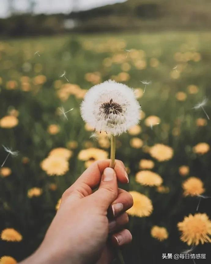 如阳光般励志的正能量句子