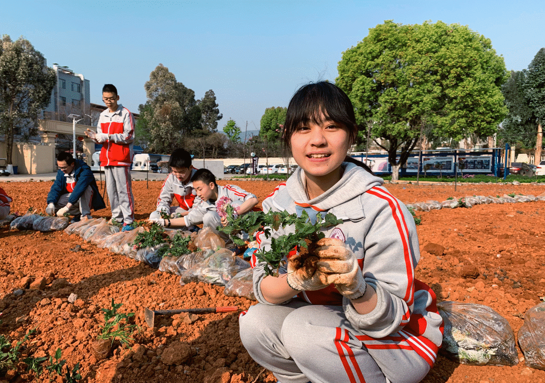 必看！双免费、名师领航，第二届清北强基实验班招生啦