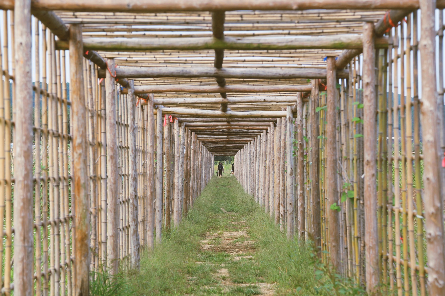 京郊密云小众亲子游，回归田园拥抱自然的超嗨假期